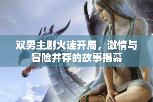 双男主剧火速开局，激情与冒险并存的故事揭幕