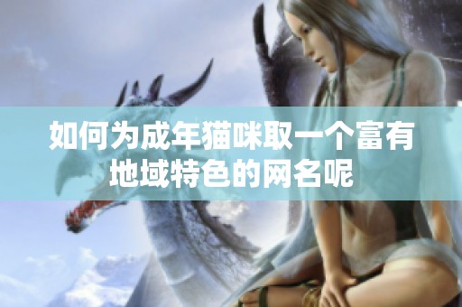 如何为成年猫咪取一个富有地域特色的网名呢