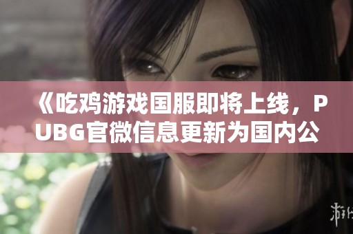 《吃鸡游戏国服即将上线，PUBG官微信息更新为国内公司》