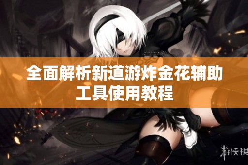 全面解析新道游炸金花辅助工具使用教程