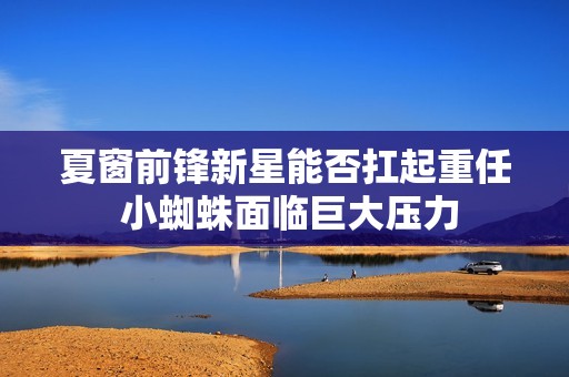 夏窗前锋新星能否扛起重任 小蜘蛛面临巨大压力
