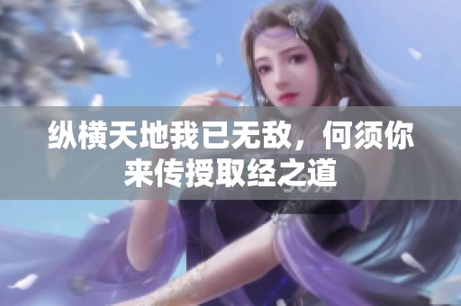 纵横天地我已无敌，何须你来传授取经之道