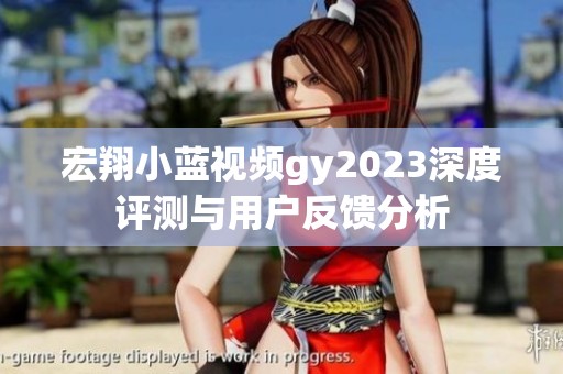 宏翔小蓝视频gy2023深度评测与用户反馈分析