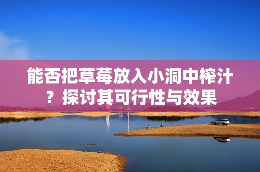 能否把草莓放入小洞中榨汁？探讨其可行性与效果