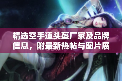 精选空手道头盔厂家及品牌信息，附最新热帖与图片展示