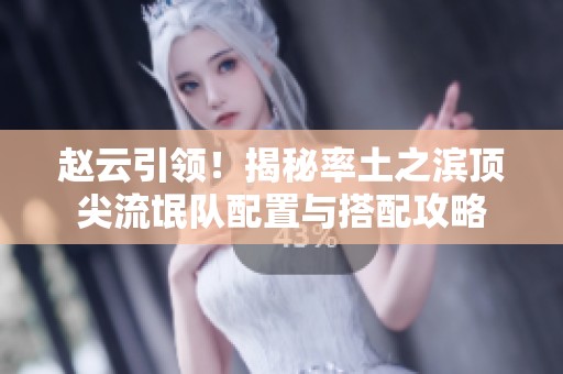 赵云引领！揭秘率土之滨顶尖流氓队配置与搭配攻略