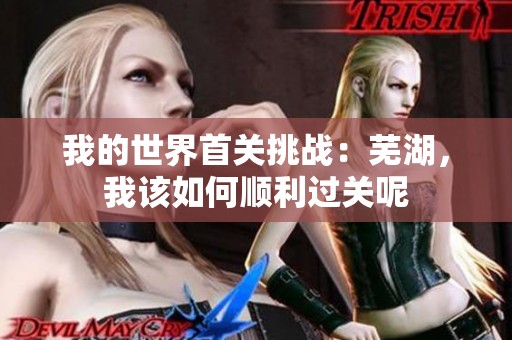 我的世界首关挑战：芜湖，我该如何顺利过关呢