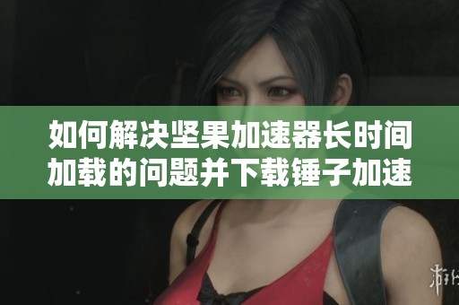 如何解决坚果加速器长时间加载的问题并下载锤子加速器