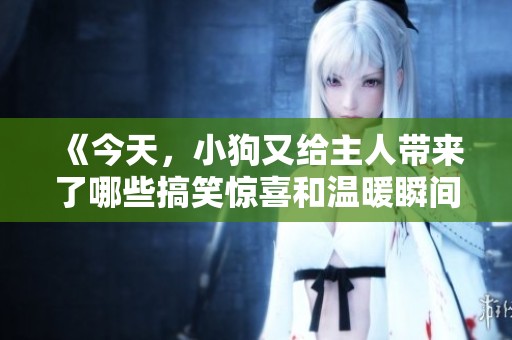 《今天，小狗又给主人带来了哪些搞笑惊喜和温暖瞬间》