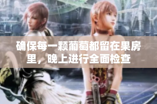 确保每一颗葡萄都留在果房里，晚上进行全面检查