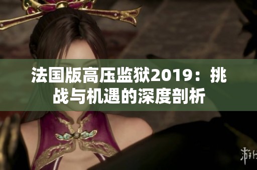 法国版高压监狱2019：挑战与机遇的深度剖析