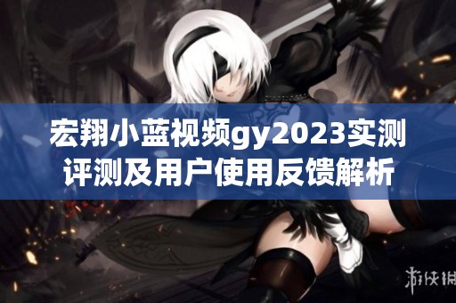 宏翔小蓝视频gy2023实测评测及用户使用反馈解析