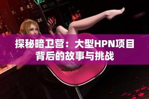探秘暗卫营：大型HPN项目背后的故事与挑战