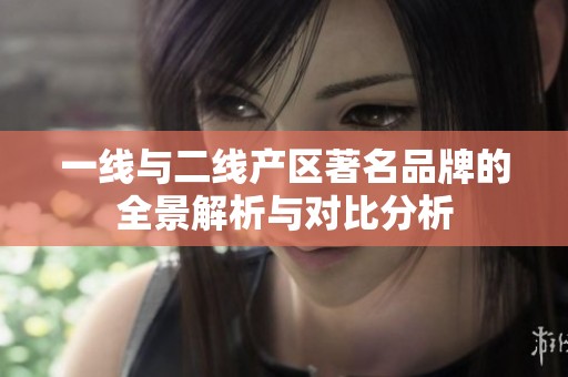 一线与二线产区著名品牌的全景解析与对比分析