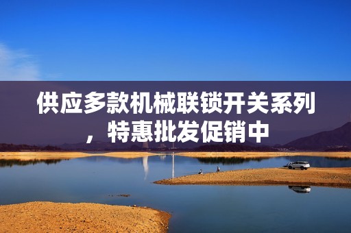供应多款机械联锁开关系列，特惠批发促销中