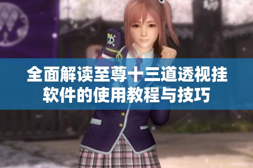 全面解读至尊十三道透视挂软件的使用教程与技巧