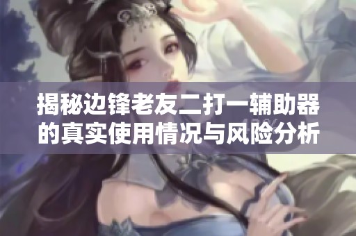 揭秘边锋老友二打一辅助器的真实使用情况与风险分析