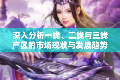深入分析一线、二线与三线产区的市场现状与发展趋势