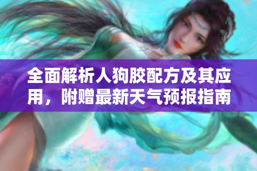 全面解析人狗胶配方及其应用，附赠最新天气预报指南