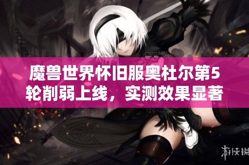 魔兽世界怀旧服奥杜尔第5轮削弱上线，实测效果显著超预期