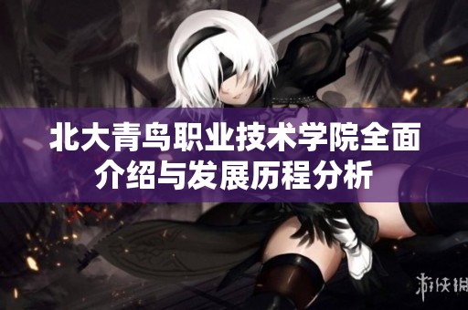 北大青鸟职业技术学院全面介绍与发展历程分析