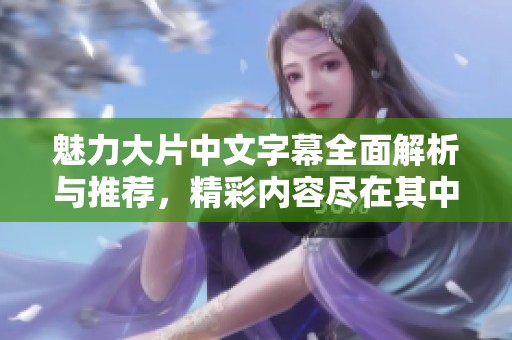 魅力大片中文字幕全面解析与推荐，精彩内容尽在其中