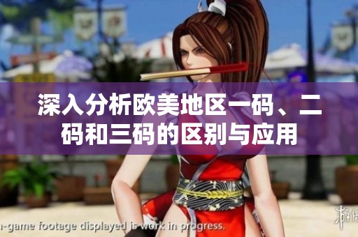 深入分析欧美地区一码、二码和三码的区别与应用