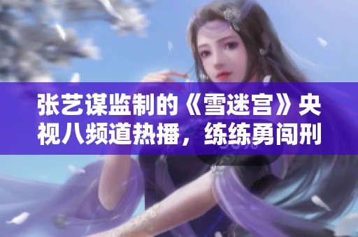 张艺谋监制的《雪迷宫》央视八频道热播，练练勇闯刑侦新领域