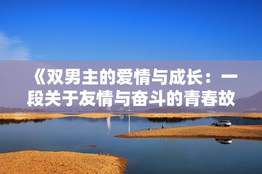《双男主的爱情与成长：一段关于友情与奋斗的青春故事》