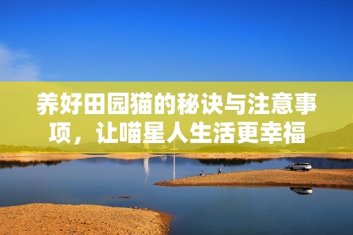 养好田园猫的秘诀与注意事项，让喵星人生活更幸福