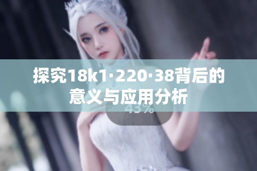 探究18k1·220·38背后的意义与应用分析