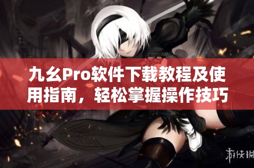 九幺Pro软件下载教程及使用指南，轻松掌握操作技巧