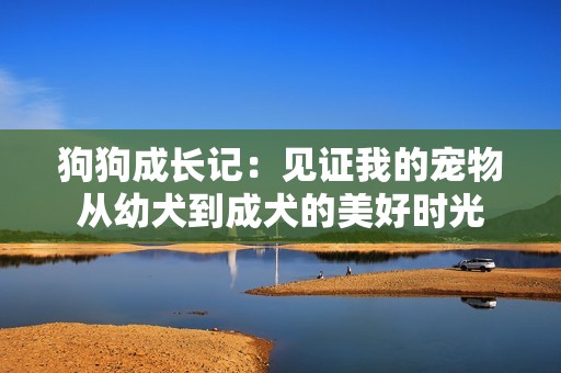 狗狗成长记：见证我的宠物从幼犬到成犬的美好时光
