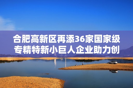 合肥高新区再添36家国家级专精特新小巨人企业助力创新发展