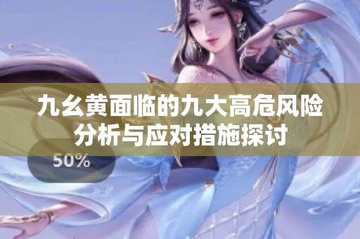 九幺黄面临的九大高危风险分析与应对措施探讨