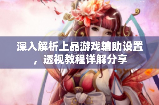 深入解析上品游戏辅助设置，透视教程详解分享