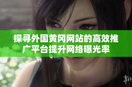 探寻外国黄冈网站的高效推广平台提升网络曝光率