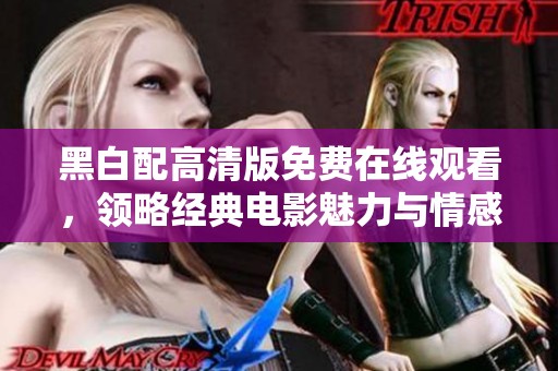 黑白配高清版免费在线观看，领略经典电影魅力与情感交织