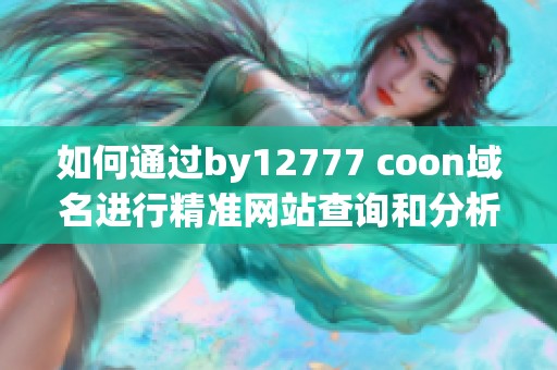如何通过by12777 coon域名进行精准网站查询和分析