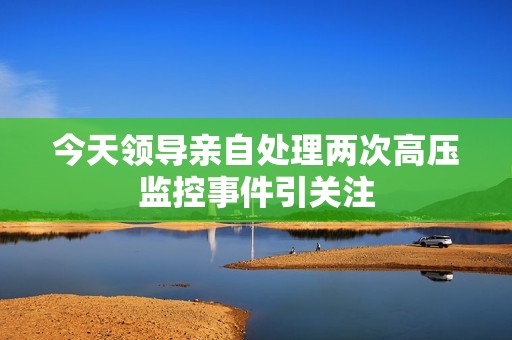 今天领导亲自处理两次高压监控事件引关注