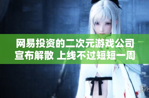 网易投资的二次元游戏公司宣布解散 上线不过短短一周