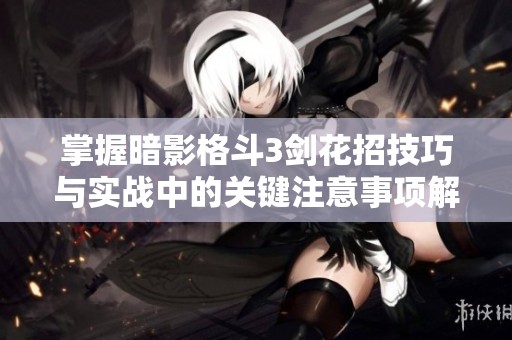 掌握暗影格斗3剑花招技巧与实战中的关键注意事项解析