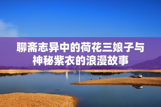 聊斋志异中的荷花三娘子与神秘紫衣的浪漫故事