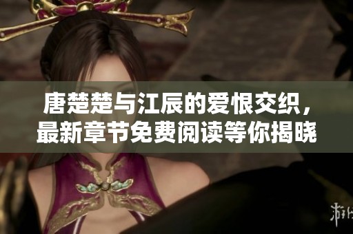 唐楚楚与江辰的爱恨交织，最新章节免费阅读等你揭晓