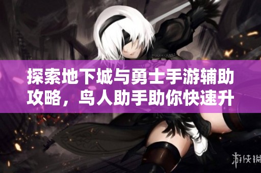 探索地下城与勇士手游辅助攻略，鸟人助手助你快速升级之路