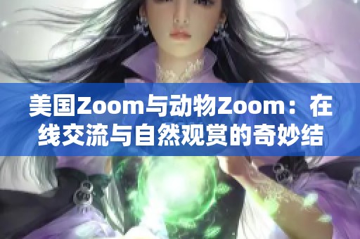 美国Zoom与动物Zoom：在线交流与自然观赏的奇妙结合