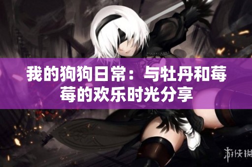 我的狗狗日常：与牡丹和莓莓的欢乐时光分享