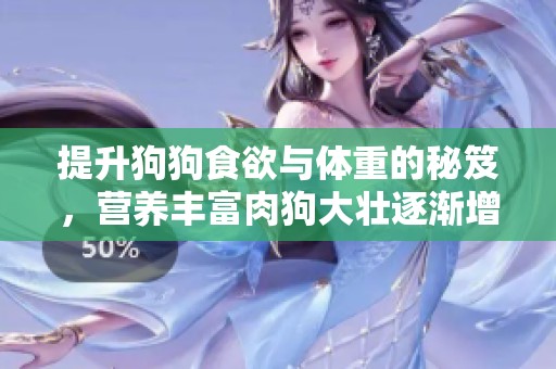 提升狗狗食欲与体重的秘笈，营养丰富肉狗大壮逐渐增肥！