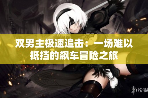 双男主极速追击：一场难以抵挡的飙车冒险之旅