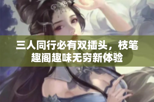 三人同行必有双插头，枝笔趣阁趣味无穷新体验
